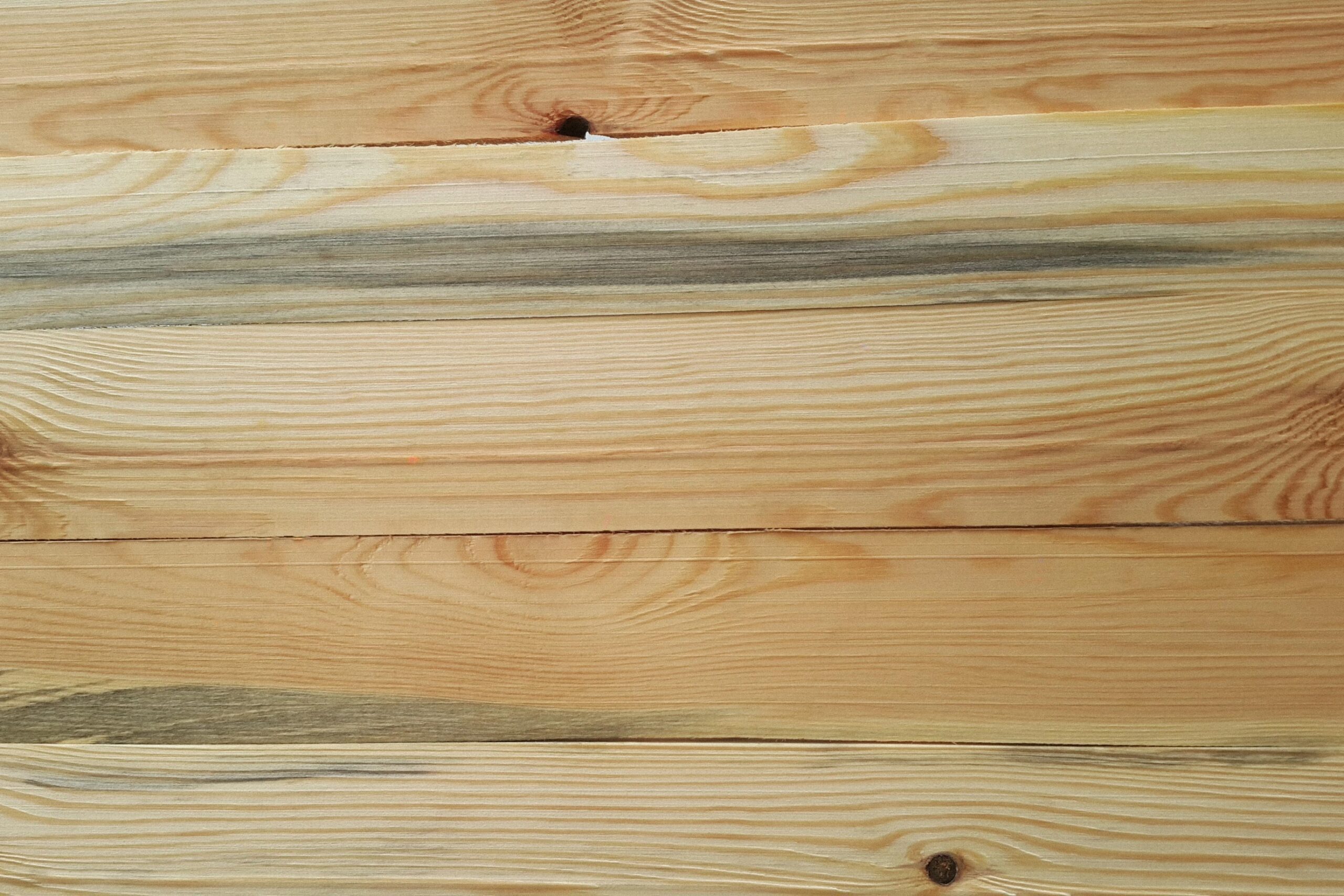 Wooden skin taxture and taxture detail of surface is identity background
