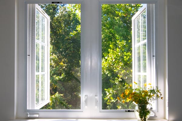 sunsplashed window